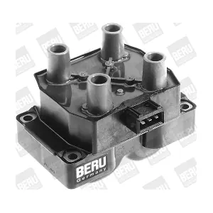 BorgWarner (BERU) ZS233