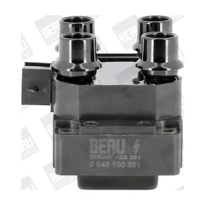 BorgWarner (BERU) ZS281