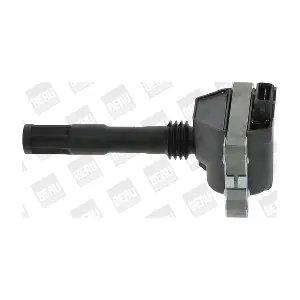 ZS428 BorgWarner (BERU)