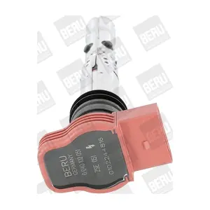 BorgWarner (BERU) ZSE051