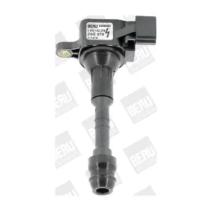 BorgWarner (BERU) ZSE079