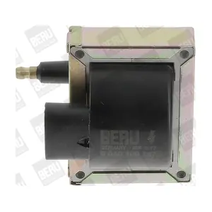 ZS 247 BorgWarner (BERU)