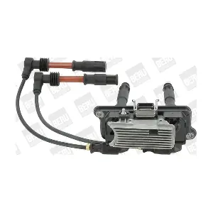 ZSE162 BorgWarner (BERU)