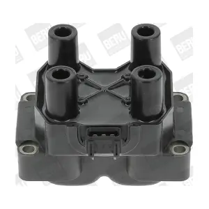 BorgWarner (BERU) ZS300