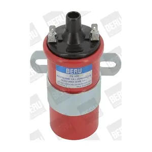 BorgWarner (BERU) ZS 109