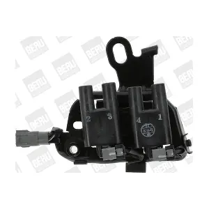 ZS 482 BorgWarner (BERU)