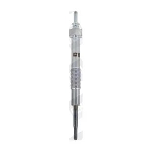 BorgWarner (BERU) GN064