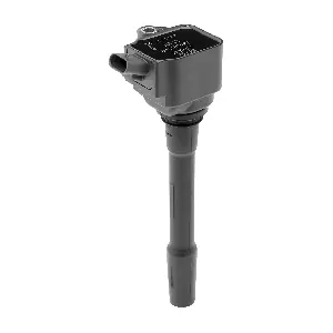 ZS597 BorgWarner (BERU)