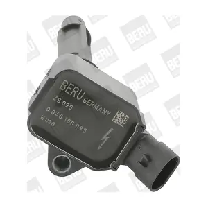 BorgWarner (BERU) ZS095