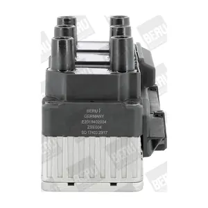 ZSE004 BorgWarner (BERU)
