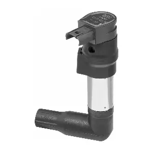 ZS384 BorgWarner (BERU)