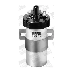 BorgWarner (BERU) ZS123