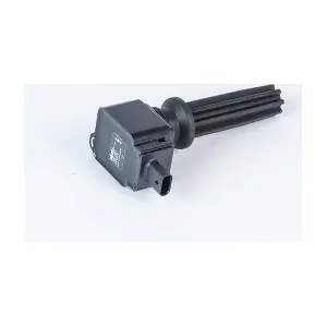 BorgWarner (BERU) ZSE233