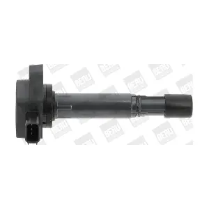 BorgWarner (BERU) ZSE170