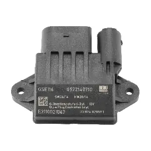 GSE116 BorgWarner (BERU)