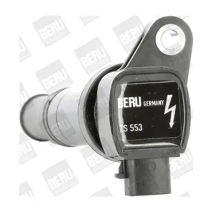 BorgWarner (BERU) ZS553