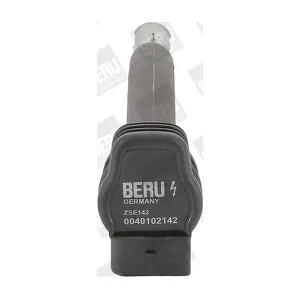 BorgWarner (BERU) ZSE142