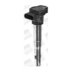 BorgWarner (BERU) ZSE033