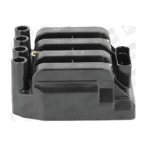 BorgWarner (BERU) ZSE029