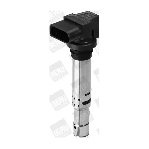BorgWarner (BERU) ZSE030