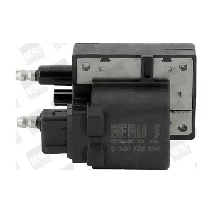 BorgWarner (BERU) ZS254