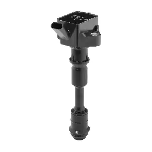 ZSE294 BorgWarner (BERU)