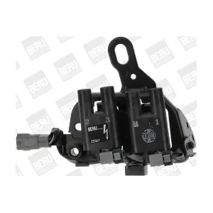ZS541 BorgWarner (BERU)