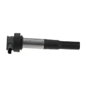 ZS386 BorgWarner (BERU)