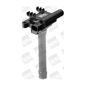 ZS 502 BorgWarner (BERU)