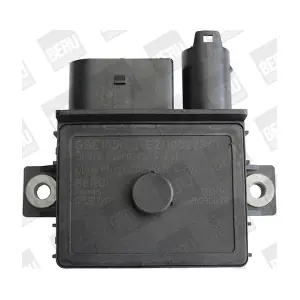 GSE105 BorgWarner (BERU)