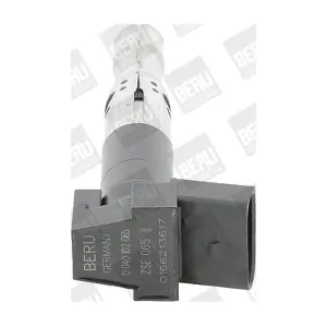 ZSE 065 BorgWarner (BERU)
