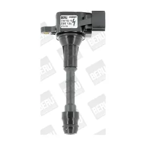 ZSE132 BorgWarner (BERU)