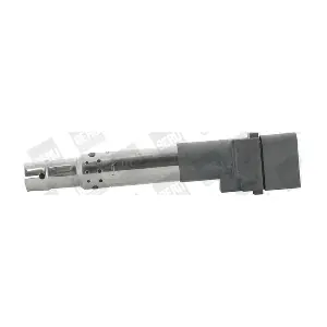 BorgWarner (BERU) ZSE044