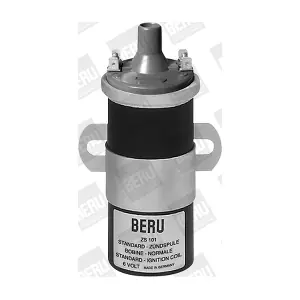BorgWarner (BERU) ZS101
