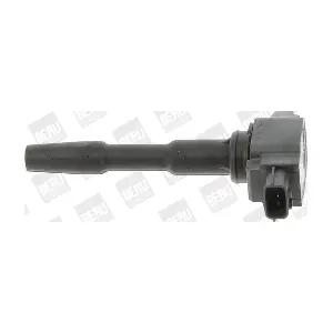 BorgWarner (BERU) ZSE131