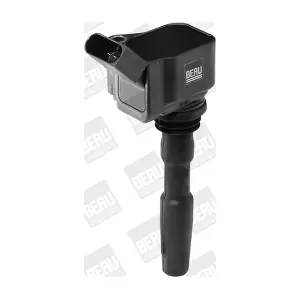 BorgWarner (BERU) ZSE126