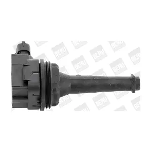 BorgWarner (BERU) ZSE019