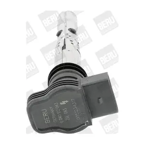 BorgWarner (BERU) ZSE043