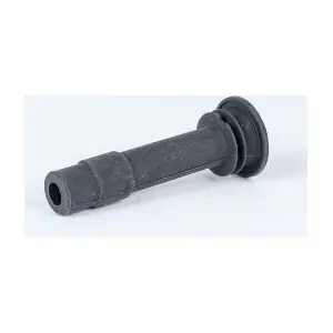 GS39 BorgWarner (BERU)