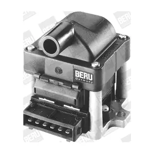 BorgWarner (BERU) ZSE002