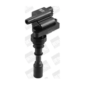 ZSE086 BorgWarner (BERU)