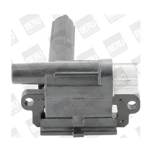 BorgWarner (BERU) ZSE 069
