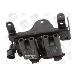 ZS480 BorgWarner (BERU)