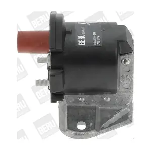 ZS299 BorgWarner (BERU)