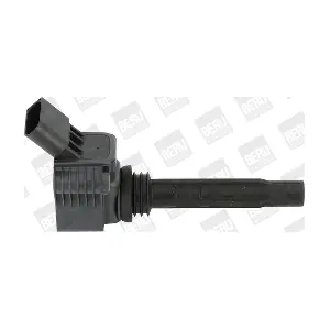 BorgWarner (BERU) ZSE067