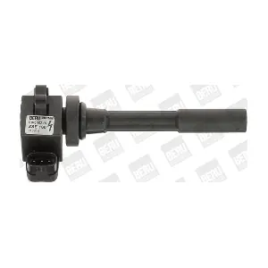 BorgWarner (BERU) ZSE160