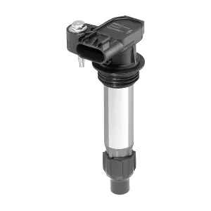 BorgWarner (BERU) ZSE252