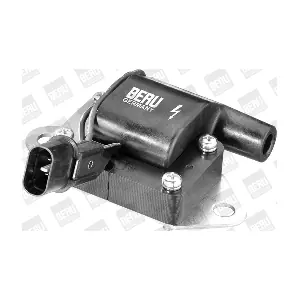 BorgWarner (BERU) ZS263