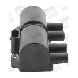 BorgWarner (BERU) ZS447A