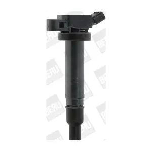BorgWarner (BERU) ZSE167